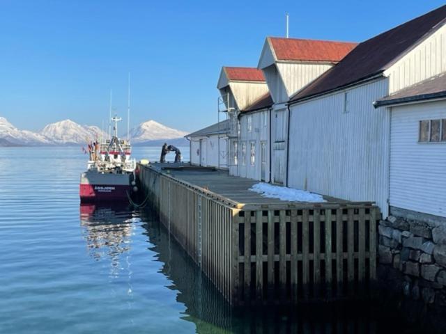 1. Etg I Dampskipsbrygga, Lodingen Havn Exterior foto